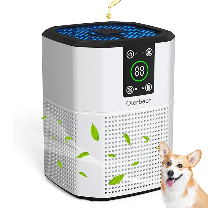 Best Air Purifiers
