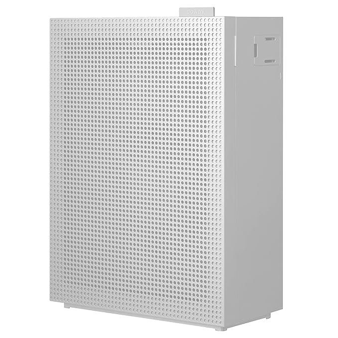 Best Air Purifiers