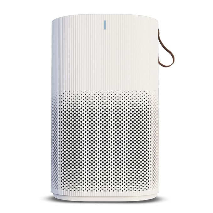 Best Air Purifiers